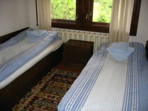 2 camas individuales en una habitación con ventana en Мечтаната селска къща на реката със семейство и приятели! en Ribarica