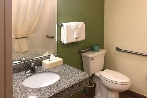 a bathroom with a white toilet and a sink at Quality Inn Elkton in Saint Augustine