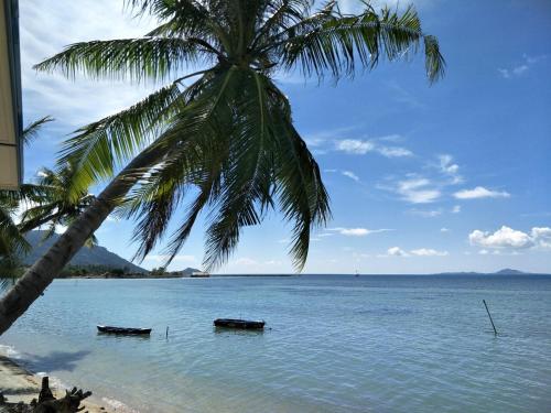 a palm tree and two boats in the water at BeauBo Beach in Baan Tai