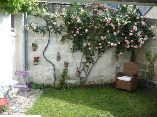 Zahrada ubytování Cosy Flat 2 eme étage vue château Loire à velo