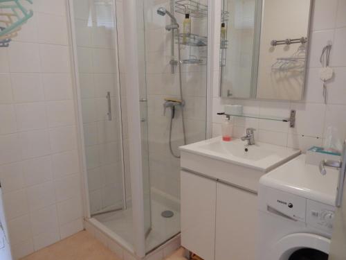 une salle de bain avec douche et lavabo dans l'établissement LES EGLETYERES, à Le Mont-Dore