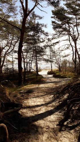 Ankerplatz am Südstrand, Fewo mit 2 Schlafzimmer und eigenen Strandkorb photo 18