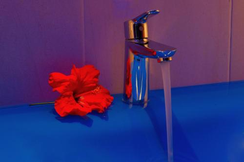 Fotografie z fotogalerie ubytování Hôtel Villa Les Orchidées v destinaci Ambatoloaka