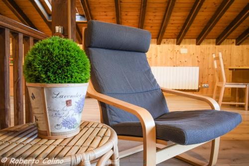 a chair and a potted plant on a porch at Artesoro Baserria in San Pedro de Galdames