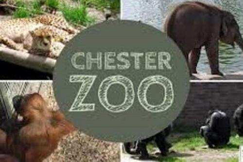 a sign that says chester zoo with monkeys and an elephant at The Cabin in Chester