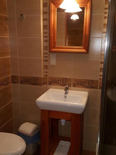 a bathroom with a sink and a toilet and a mirror at POD ROŻKAMI in Cisna