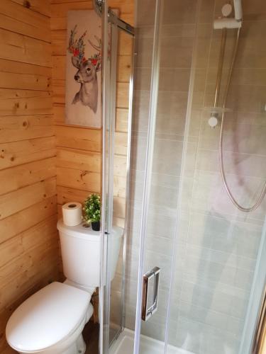 a bathroom with a toilet and a shower at The Ranch Cabin in Rathdowney