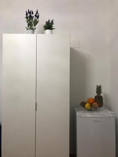 a white refrigerator with plants on top of it at La Perla Scala dei Turchi in Realmonte