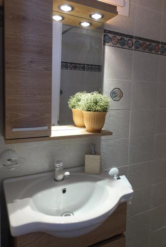 a bathroom sink with a potted plant on a mirror at Sea Urchin Apartments 2nd floor in Agia Pelagia Kythira