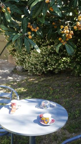 Gallery image of Grand studio in La Roquette-sur-Siagne