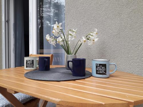 Apartmani Trio sa terasom