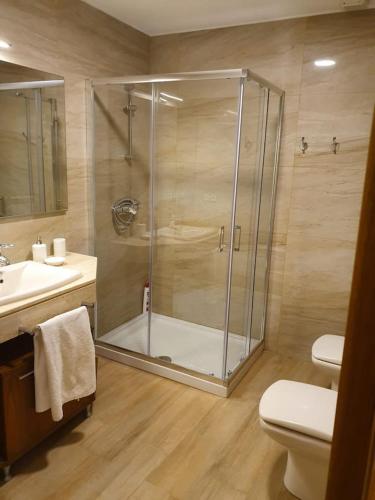 a bathroom with a shower and a toilet and a sink at LA GATERA 1D BAJO ARAGON - MATARRAÑA in Fabara
