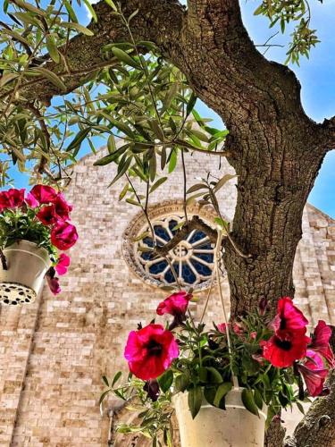 a building with a clock tower with flowers at B&b SAN LORENZO in Conversano