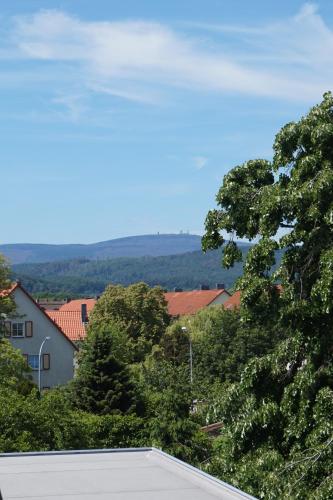 a view from the roof of a house with trees at Ferienhaus Hundertmorgenfeld 33 in Wernigerode