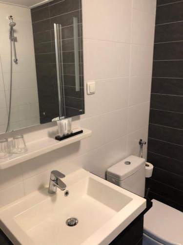 a bathroom with a sink and a toilet and a mirror at Hotel Nap in West-Terschelling