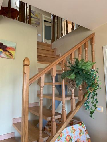a wooden staircase with a potted plant on it at Delight Apartments in Golem