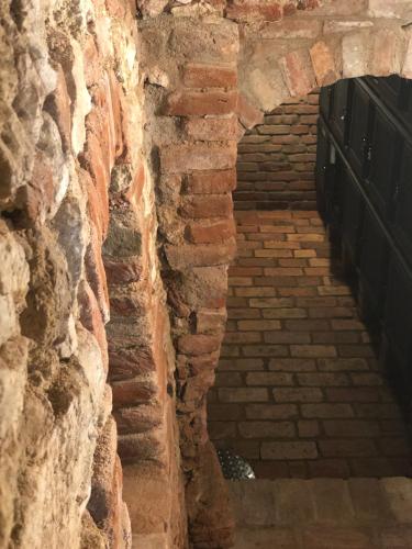 Fotografie z fotogalerie ubytování Apartmány Koněvova v destinaci Mikulov