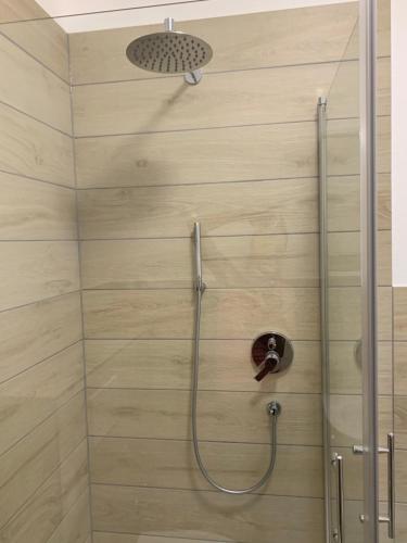 een douche met een douchekop in een badkamer bij Silvias Ferienwohnung in Überlingen