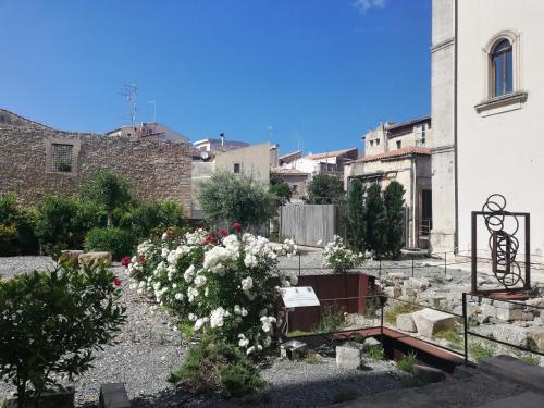 a garden with white flowers in front of a building at D-Home Ortigia in Siracusa