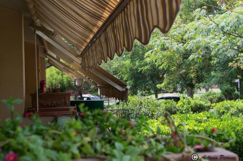 a porch with awning and plants in a garden at Villaggio Mare Si in Follonica