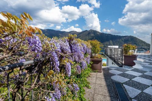 a garden with purple flowers on a roof at Hotel Asnigo in Cernobbio