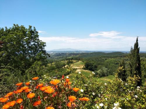 a field of flowers on top of a hill at Agriturismo Le Case di San Vivaldo in Montaione