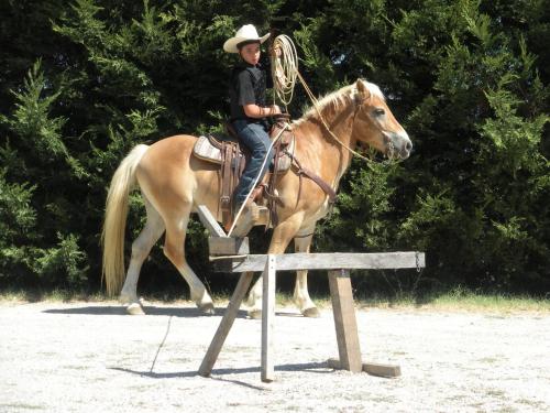 a young child is riding a horse over an obstacle at La Casa Di Campagna in Magione