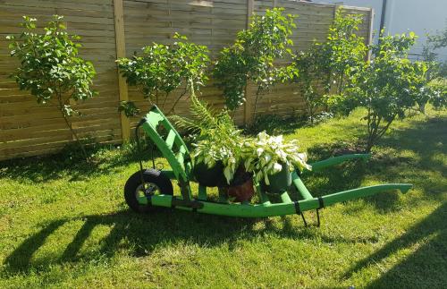 a cart with plants in it in the grass at Bogi's Ferienhaus - Pension in Laakirchen