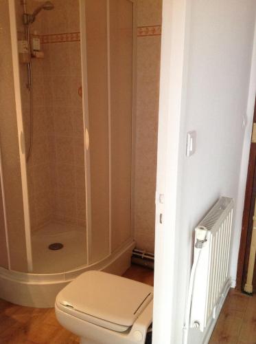 une salle de bain avec toilettes et douche dans l'établissement Studio joigny Pereire, à Arcachon