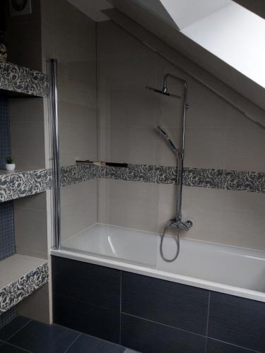 a bathroom with a shower and a bath tub at Villa Anna in Międzywodzie