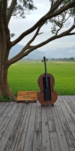 a violin sitting on a wooden floor under a tree at 池上5159懷舊民宿 請勿用阿勾達訂房 in Chishang