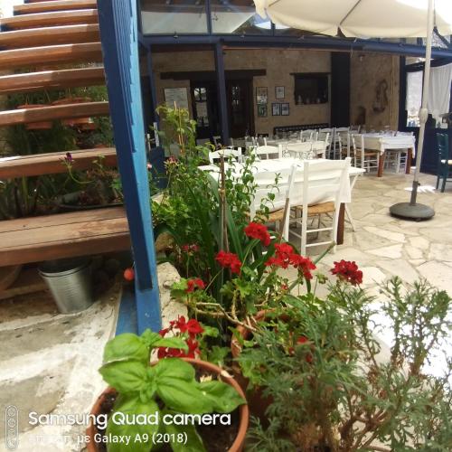 a restaurant with tables and red flowers in the foreground at Ble Mavi - Studio for 2 in Vouni