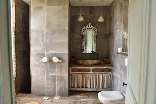 a bathroom with a toilet and a mirror at Château de Clermont in Clermont-les-Fermes