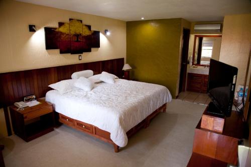 1 dormitorio con 1 cama grande y TV en Los Andes Coatzacoalcos, en Coatzacoalcos