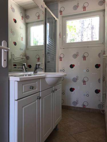 une salle de bain avec un lavabo et un miroir dans l'établissement Maison Sapinettes, à Quend