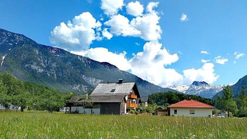 a house in a field with mountains in the background at Haus Moni in Bad Goisern