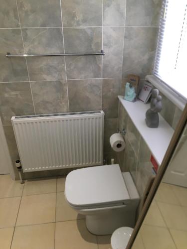 a bathroom with a white toilet and a radiator at Milton Lodge in Weston-super-Mare