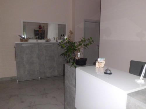 a bathroom with a sink and a counter with a plant at Red Rose Guest House in Golem