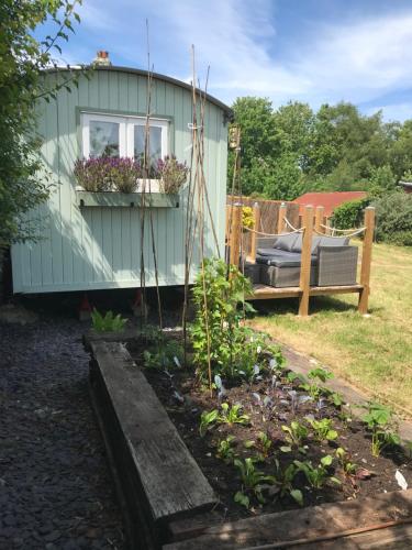 Shepherds Hut with Hot Tubにある庭