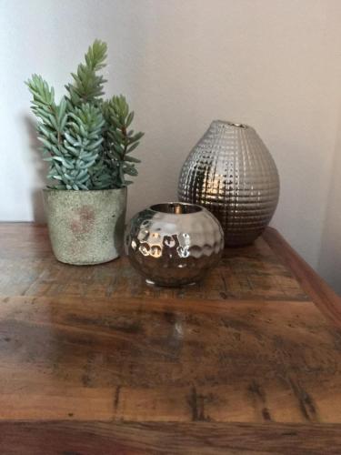 two vases sitting on a wooden table with two plants at Apartment 1 mit Terrasse und PKW-Stellplatz in Leverkusen
