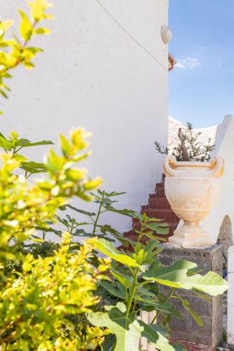 a flower pot sitting on the side of a building at Gangdigiorgia in Capitana