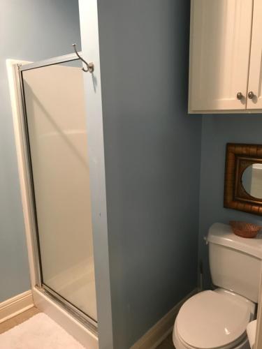 ein Bad mit einer Duschkabine und einem WC in der Unterkunft Backyard Cottage in Lafayette