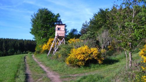 Φωτογραφία από το άλμπουμ του Gästezimmer Waldblick σε Wimbach