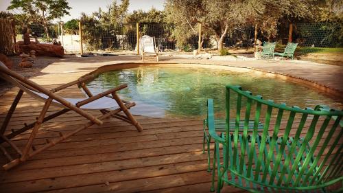 una silla verde junto a la piscina en Muchnik - Arava Desert lodge, en Idan