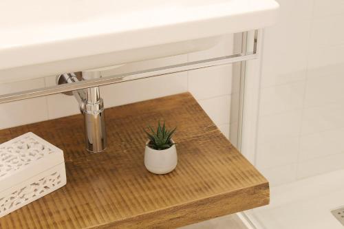 a plant sitting on a wooden bench under a sink at Estlevante B&B in Vieste