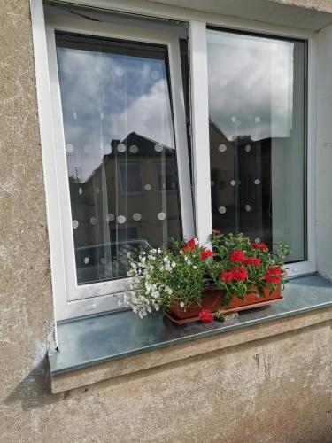 a window with two pots of flowers on a window sill at Dzīvoklis Vecpilsētā in Bauska