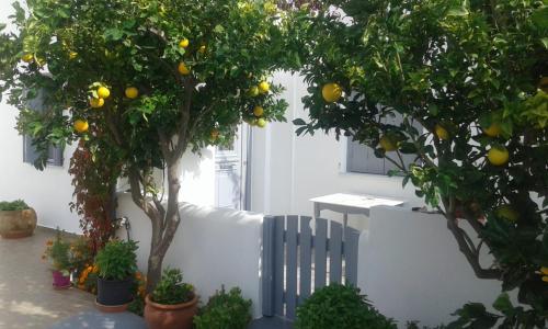 Taman di luar Matilda Milos - Cycladic Living
