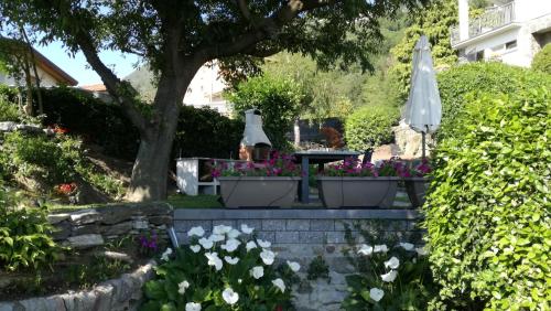 Un jardín fuera de Villa Mari