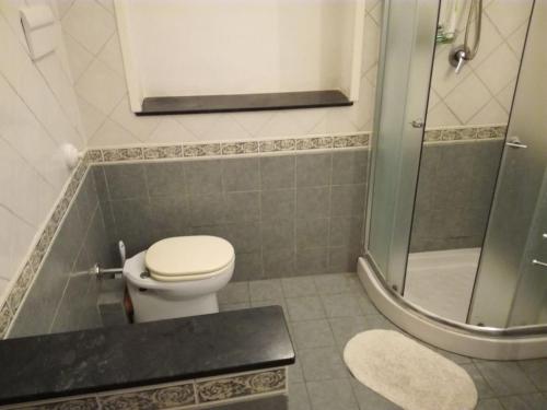 ein Bad mit einem WC und einer Dusche in der Unterkunft Casa Ciccio in Terrasini