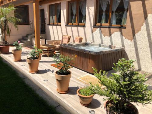 Fotografie z fotogalerie ubytování Apartmán Palava v destinaci Břeclav